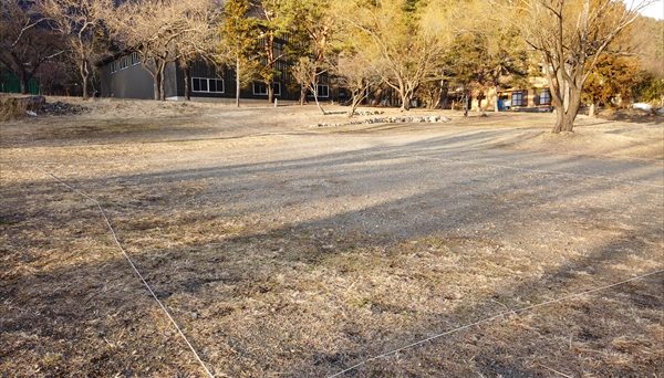 西湖 自由キャンプ場